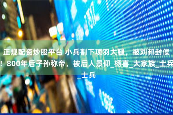 正规配资炒股平台 小兵割下项羽大腿，被刘邦封侯！800年后子孙称帝，被后人景仰_杨喜_大家族_士兵