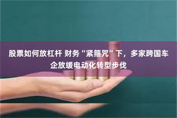 股票如何放杠杆 财务“紧箍咒”下，多家跨国车企放缓电动化转型步伐