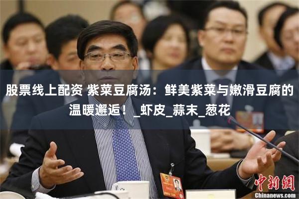 股票线上配资 紫菜豆腐汤：鲜美紫菜与嫩滑豆腐的温暖邂逅！_虾皮_蒜末_葱花