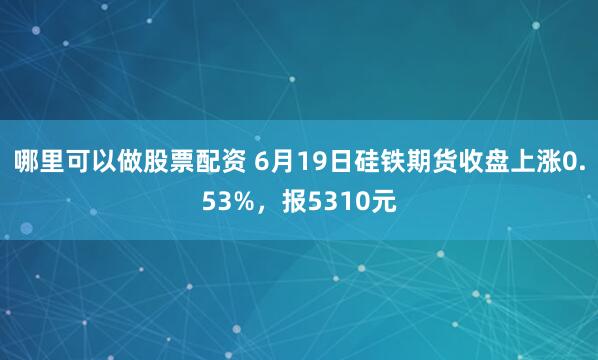 哪里可以做股票配资 6月19日硅铁期货收盘上涨0.53%，报5310元