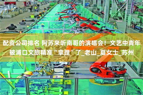配资公司排名 阿苏来听南哥的演唱会！文艺中青年被浦口文旅精准“拿捏”了_老山_夏女士_苏州