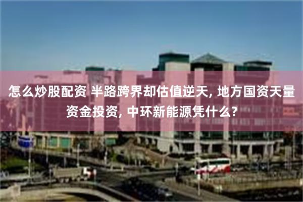 怎么炒股配资 半路跨界却估值逆天, 地方国资天量资金投资, 中环新能源凭什么?
