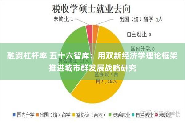 融资杠杆率 五十六智库：用双新经济学理论框架推进城市群发展战略研究