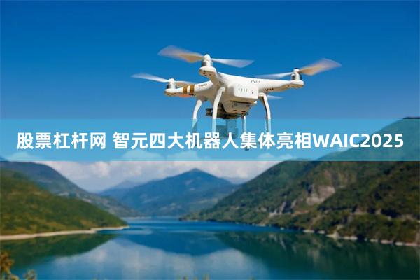 股票杠杆网 智元四大机器人集体亮相WAIC2025