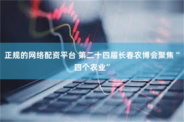 正规的网络配资平台 第二十四届长春农博会聚焦“四个农业”