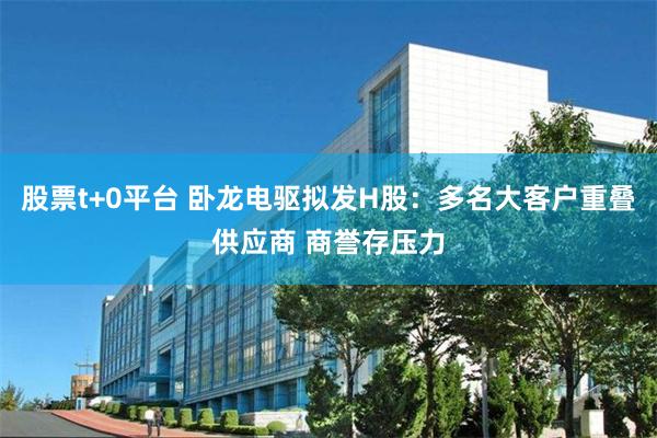 股票t+0平台 卧龙电驱拟发H股：多名大客户重叠供应商 商誉存压力
