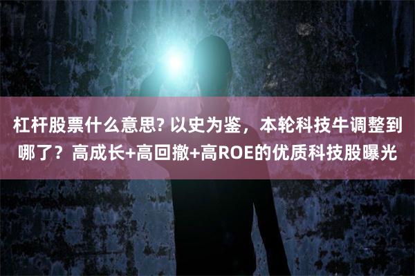 杠杆股票什么意思? 以史为鉴，本轮科技牛调整到哪了？高成长+高回撤+高ROE的优质科技股曝光