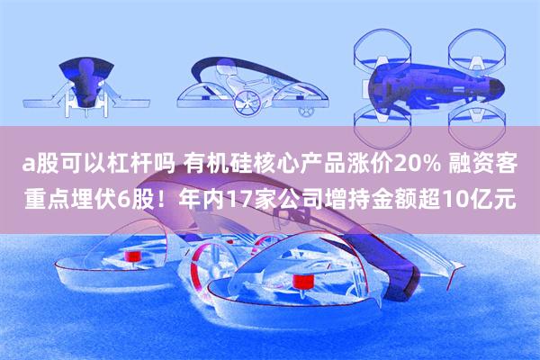 a股可以杠杆吗 有机硅核心产品涨价20% 融资客重点埋伏6股!年内17家公司增持金额超10亿元