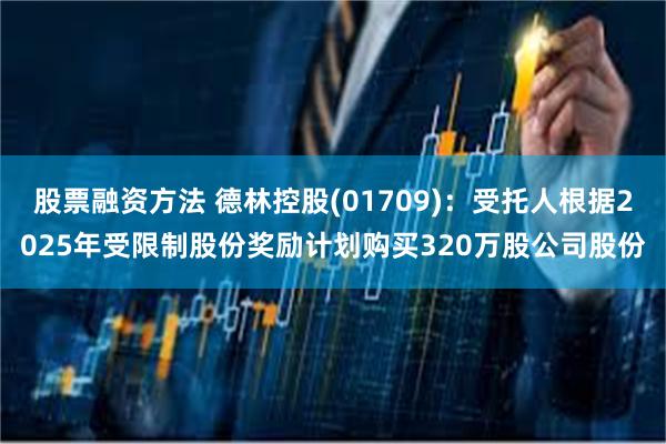 股票融资方法 德林控股(01709):受托人根据2025年受限制股份奖励计划购买320万股公司股份