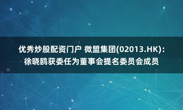 优秀炒股配资门户 微盟集团(02013.HK):徐晓鸥获委任为董事会提名委员会成员